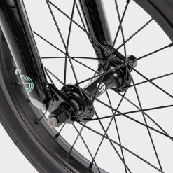 We The People Seed 16