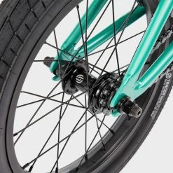 We The People Seed 16