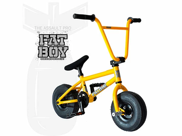 LITTLE BIKES Fat Boy Mini BMX Bike The Assault Pro-Gold 1 LITTLE BIKES Fat Boy Mini BMX Bike The Assault Pro-Gold