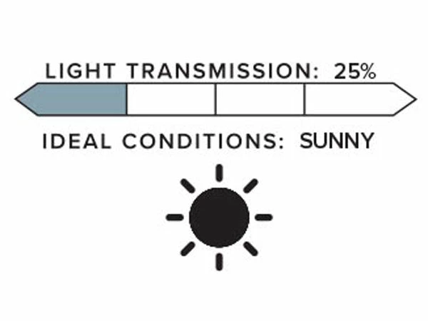 Fly Racing Zone Pro/Zone/Focus Goggles Replacement Lenses-Dark Smoke 2 Fly Racing Zone Pro/Zone/Focus Goggles Replacement Lenses-Dark Smoke
