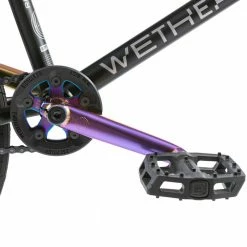 We The People 2023 Reason 20.75