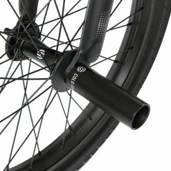 We The People 2023 Reason 20.75