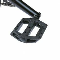 We The People 2023 Seed 16