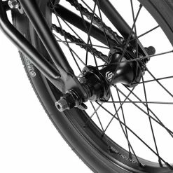 We The People 2023 Seed 16