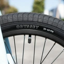 Sunday Forecaster 20.5