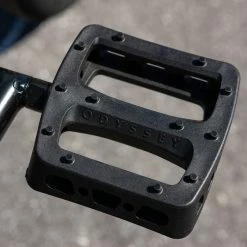 Sunday Forecaster 20.5