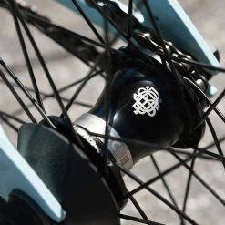 Sunday Forecaster 20.5