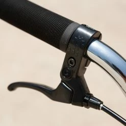 BIKES Sunday Primer 21