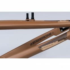 FRAMES Stay Strong For Life V3 BMX Race Frame-Coffee
