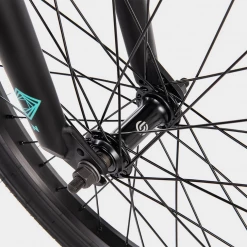 We The People Nova 20