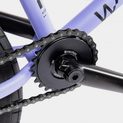 We The People Reason 20.75