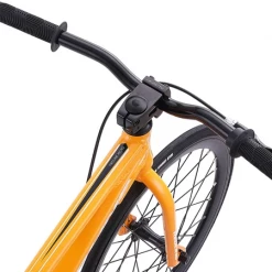 RACE BIKES Redline Proline Micro 18