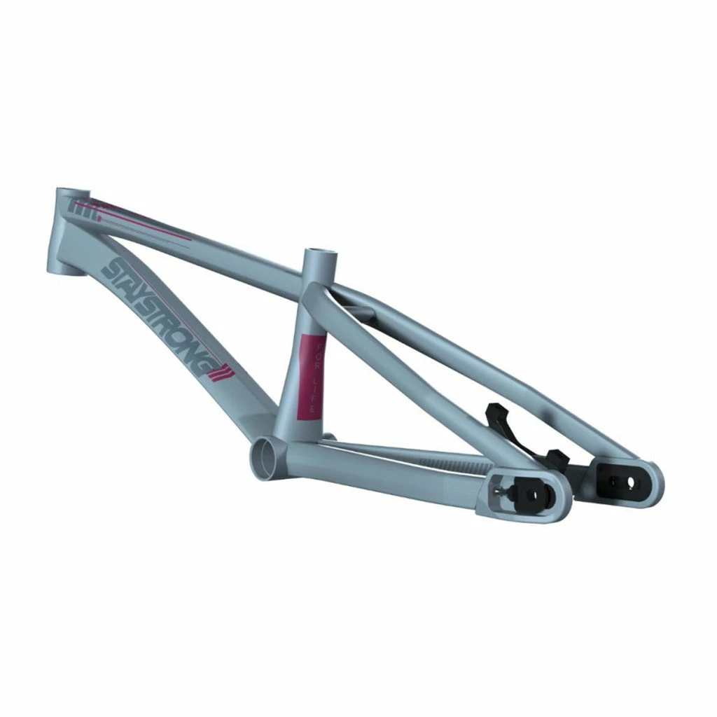 Stay Strong For Life V4 BMX Race Frame-Grey 2 Stay Strong For Life V4 BMX Race Frame-Grey