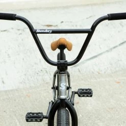 Sunday EX 21"TT BMX Bike-Gloss Raw Chris Childs Signature