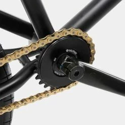 We The People Reason 20.75