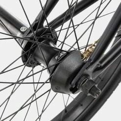 We The People Reason 20.75